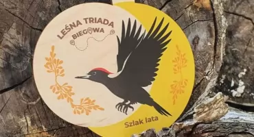 Warszawskie lasy zapraszają biegaczy i miłośników przyrody
