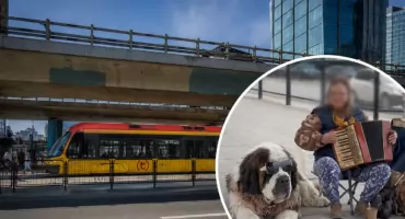 Miały przynosić pieniądze. Gdy odebrano psy, wolontariusze nie mogli uwierzyć