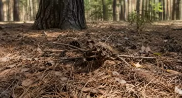 Pilny alert RCB. Sytuacja na Mazowszu jest bardzo niebezpieczna