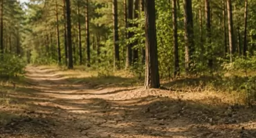Wystarczy chwila i może dojść do tragedii. RCB apeluje o ostrożność