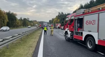 Dramatyczny widok na ekspresówce. Padłe zwierzęta wypadły z ciężarówki