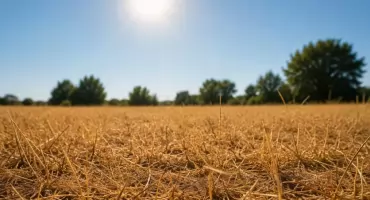 Alert dla dużej części kraju. Nadchodzą burze z niszczycielskim wiatrem i skrajny upał