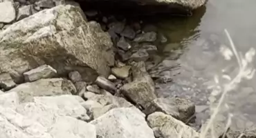 To dzieje się teraz nad Wisłą. Nagranie mówi więcej niż tysiąc słów [WIDEO]