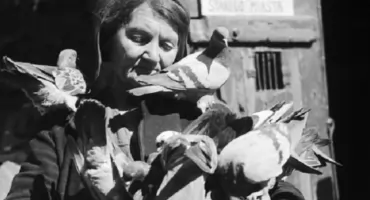 Warszawska Gołębiarka. Kobieta, która wróciła do ruin dla swoich ptaków